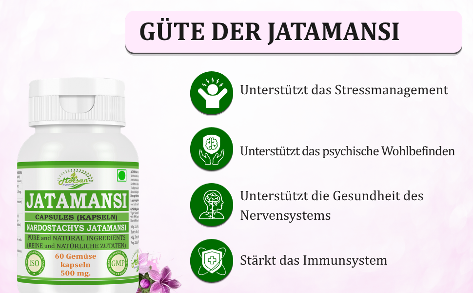 Morsan Nutraveda Jatamansi (Nardostachys Jatamansi) Kapseln | 10:1 hochkonzentrierter Extrakt | 100% natürliches Produkt | Packung mit 60 x 500 mg Vegi-Kapseln