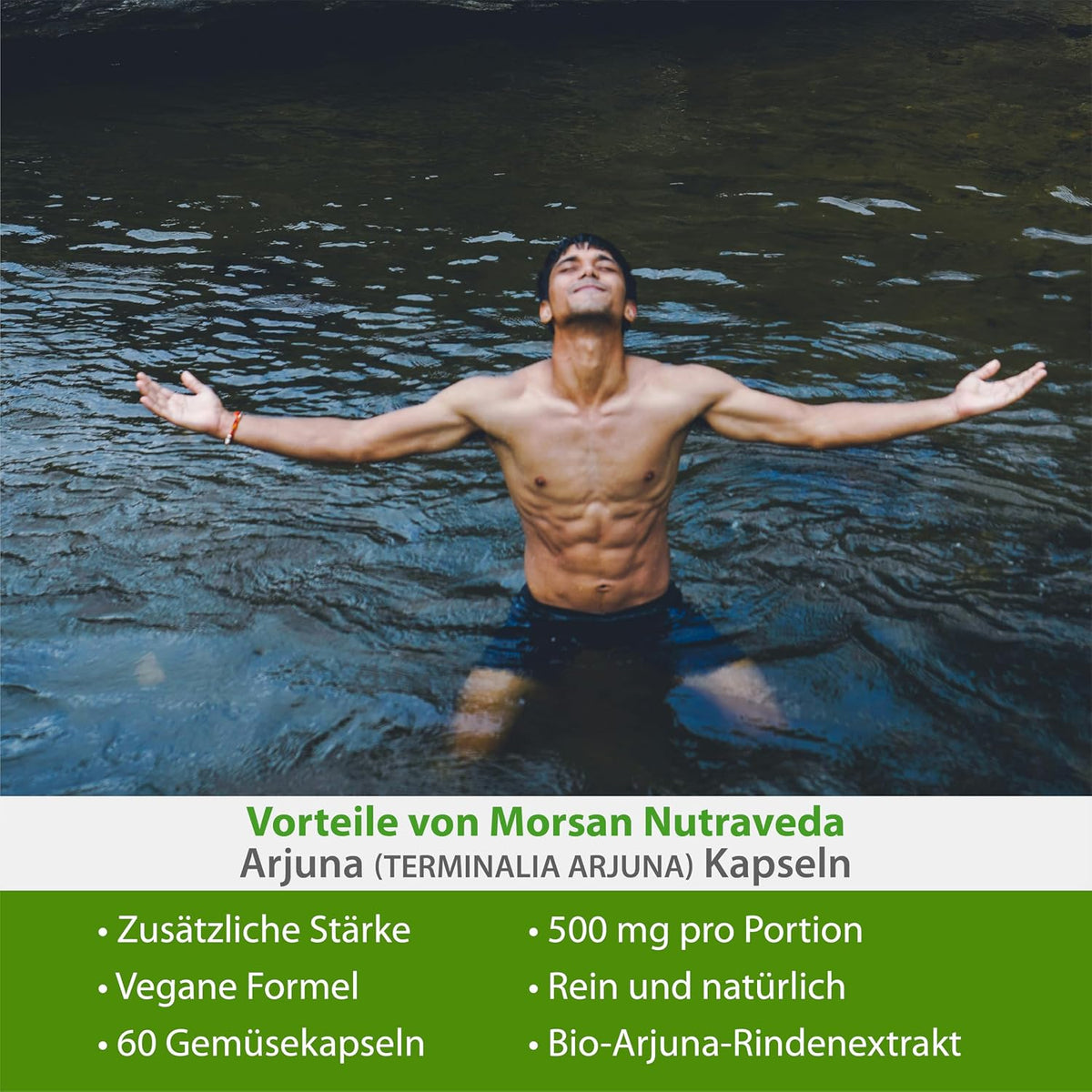 Morsan Nutraveda Arjuna (Terminalia Arjuna) Kapseln | 10:1 hochkonzentrierter Extrakt | 100 % Naturprodukt | Packung mit 60 x 500 mg Veg. Kapseln