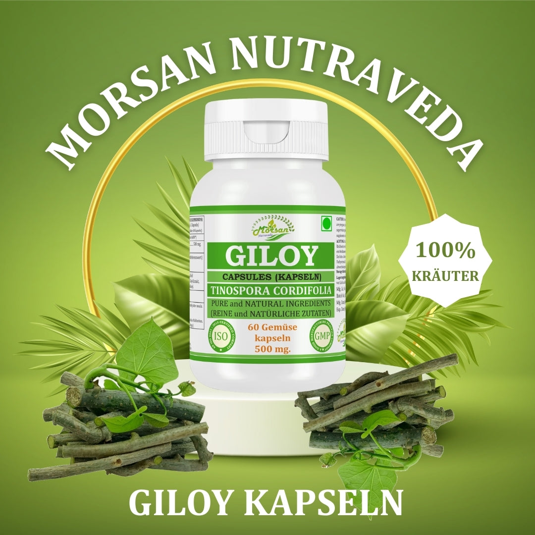 Morsan Nutraveda Giloy (Tinospora Cordifolia, Guduchi) Kapseln | 10:1 hochkonzentrierter Extrakt | 100 % Naturprodukt | Packung mit 60 x 500 mg Vegi-Kapseln