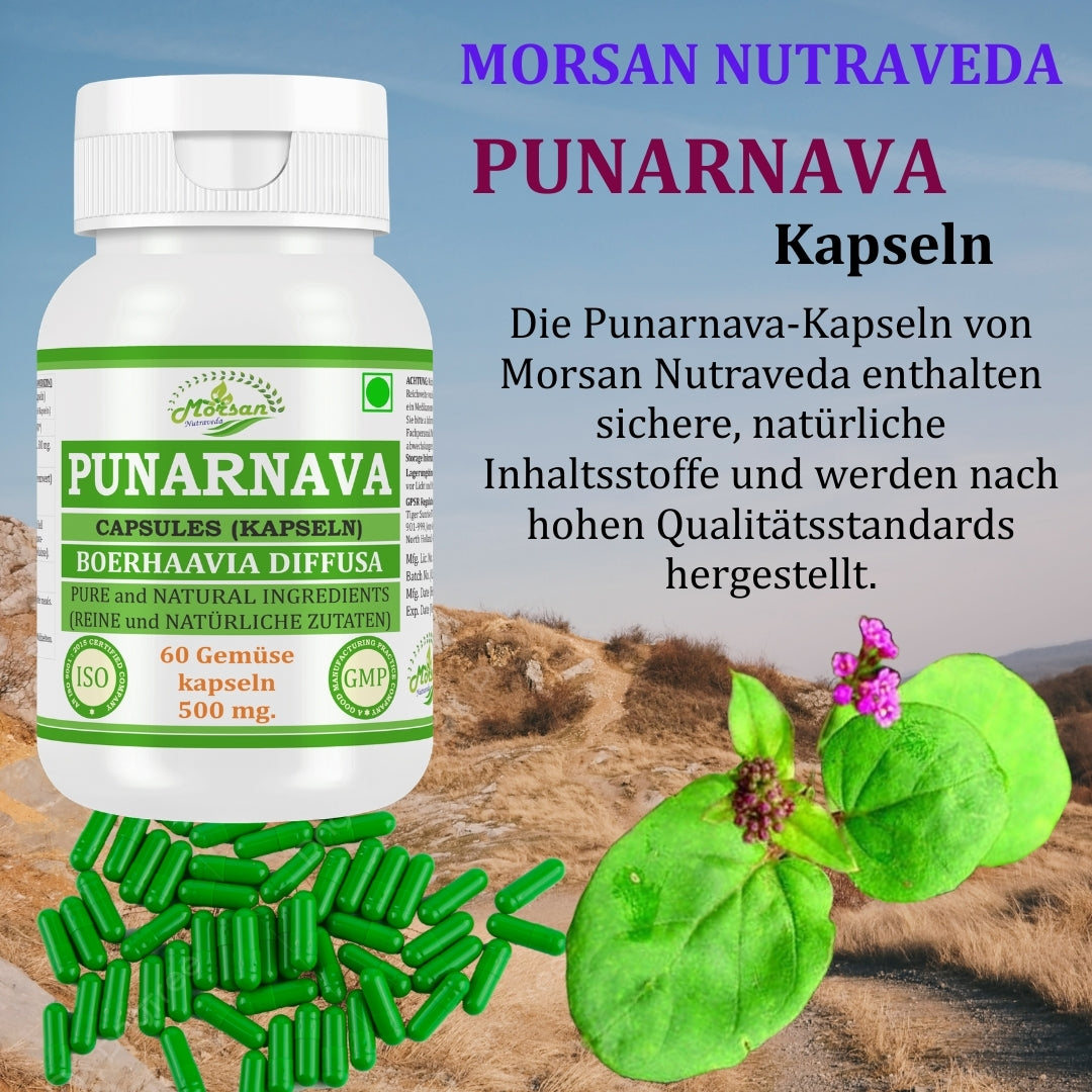 Morsan Nutraveda Punarnava (Boerhaavia Diffusa, Punernava) Kapseln | 10:1 hochkonzentrierter Extrakt | 100 % Naturprodukt | Packung mit 60 x 500 mg Veg.-Kapseln