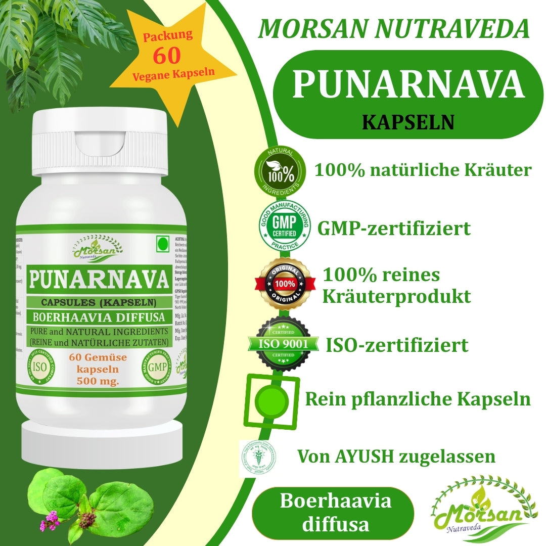 Morsan Nutraveda Punarnava (Boerhaavia Diffusa, Punernava) Kapseln | 10:1 hochkonzentrierter Extrakt | 100 % Naturprodukt | Packung mit 60 x 500 mg Veg.-Kapseln