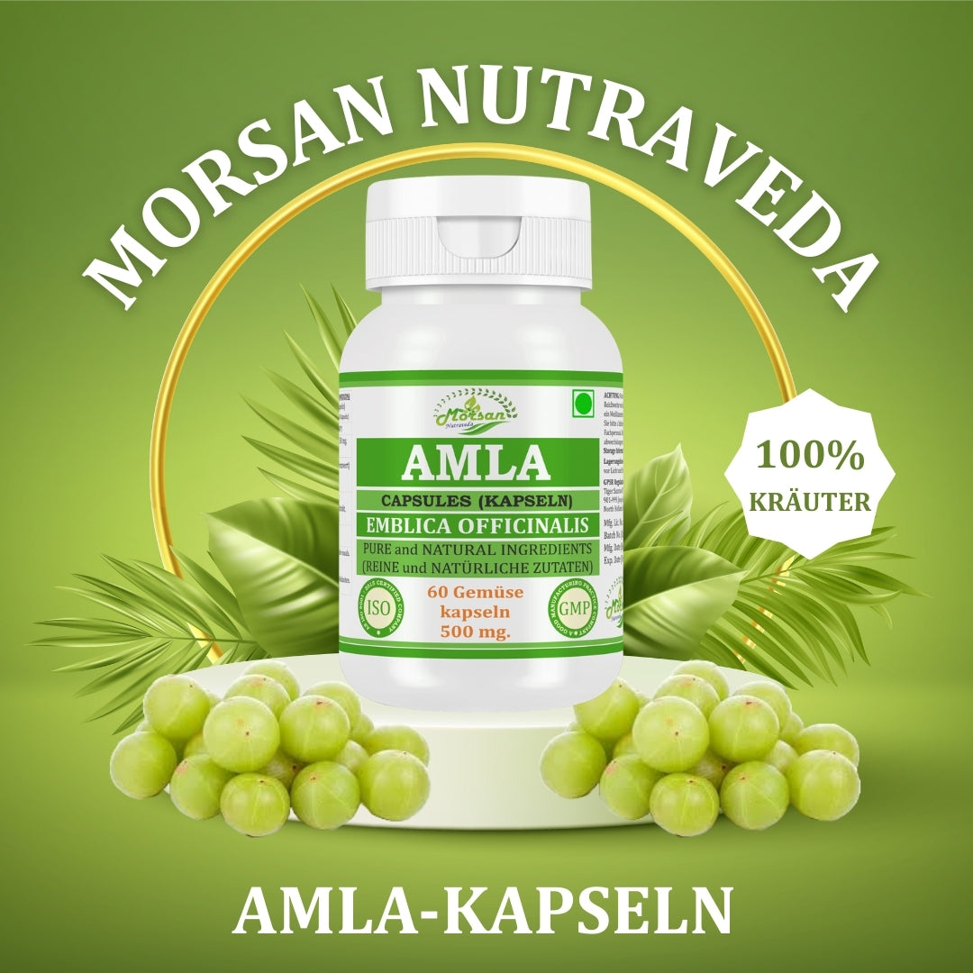 morsan-nutraveda-aloe-vera-500mg-60-vegane-kapseln