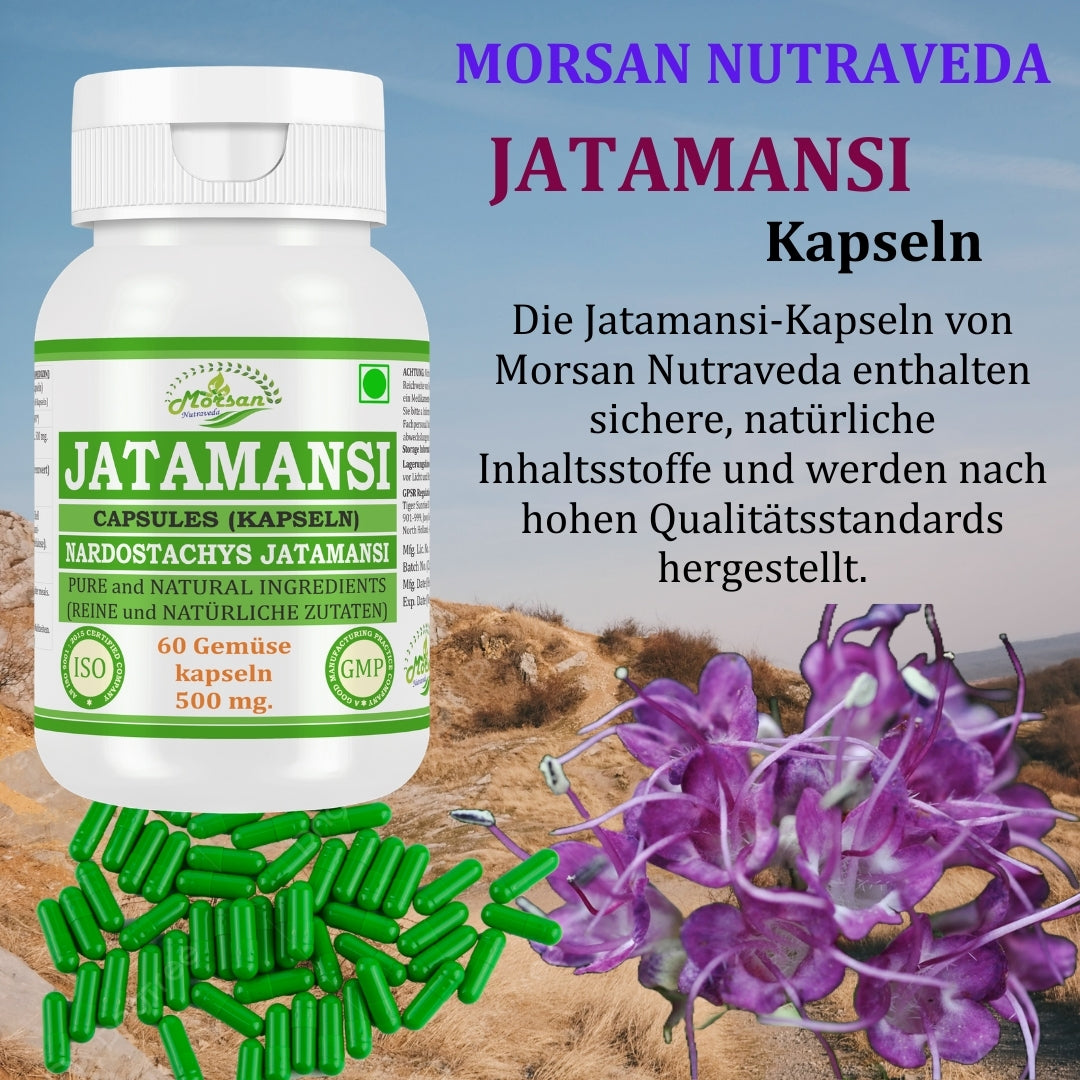 Morsan Nutraveda Jatamansi (Nardostachys Jatamansi) Kapseln | 10:1 hochkonzentrierter Extrakt | 100% natürliches Produkt | Packung mit 60 x 500 mg Vegi-Kapseln