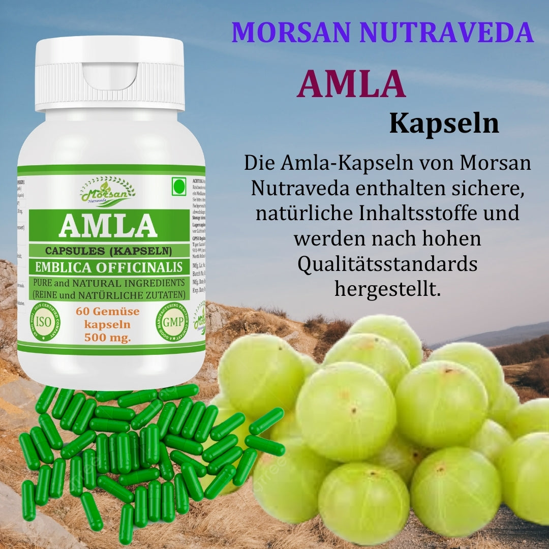 morsan-nutraveda-aloe-vera-500mg-60-vegane-kapseln