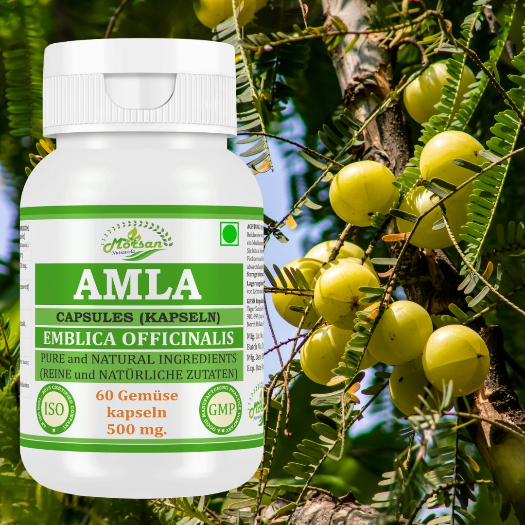 morsan-nutraveda-aloe-vera-500mg-60-vegane-kapseln