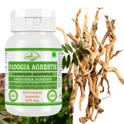 Morsan Nutraveda’s Fadogia Agrestis (Vangueria Agrestis) Capsule | 10:1 Highest Potency Extract | 100 % Natural Product | Pack of 60 x 500 mg. Veg. Capsules