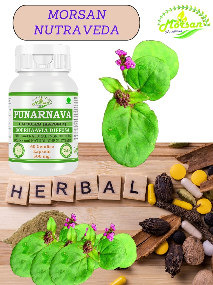 Morsan Nutraveda Punarnava (Boerhaavia Diffusa, Punernava) Kapseln | 10:1 hochkonzentrierter Extrakt | 100 % Naturprodukt | Packung mit 60 x 500 mg Veg.-Kapseln