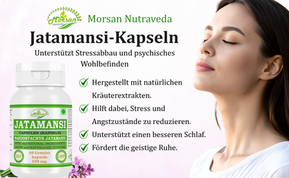 Morsan Nutraveda Jatamansi (Nardostachys Jatamansi) Kapseln | 10:1 hochkonzentrierter Extrakt | 100% natürliches Produkt | Packung mit 60 x 500 mg Vegi-Kapseln