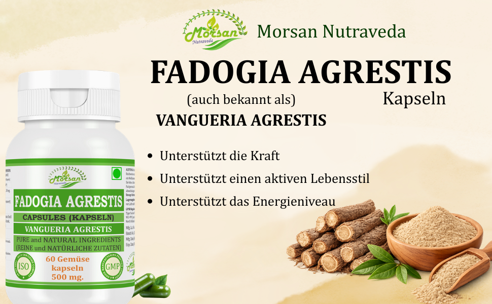 Morsan Nutraveda’s Fadogia Agrestis (Vangueria Agrestis) Capsule | 10:1 Highest Potency Extract | 100 % Natural Product | Pack of 60 x 500 mg. Veg. Capsules