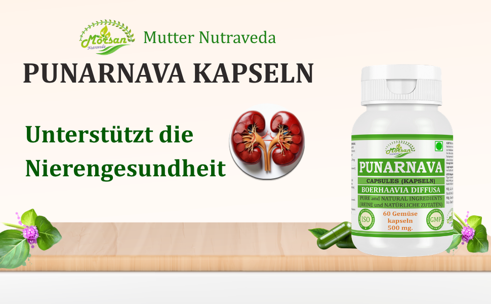 Morsan Nutraveda Punarnava (Boerhaavia Diffusa, Punernava) Kapseln | 10:1 hochkonzentrierter Extrakt | 100 % Naturprodukt | Packung mit 60 x 500 mg Veg.-Kapseln
