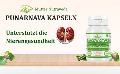 Morsan Nutraveda Punarnava (Boerhaavia Diffusa, Punernava) Kapseln | 10:1 hochkonzentrierter Extrakt | 100 % Naturprodukt | Packung mit 60 x 500 mg Veg.-Kapseln