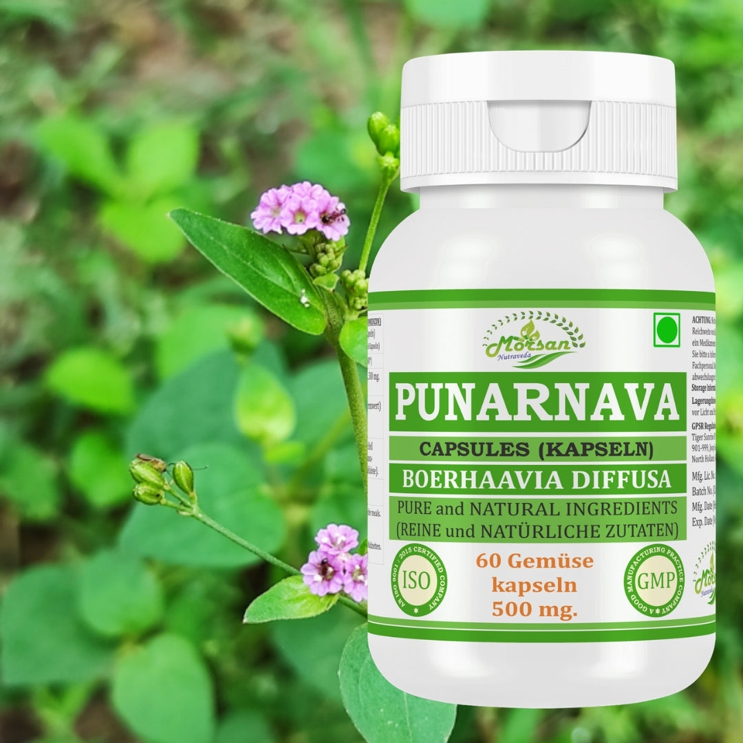 Morsan Nutraveda Punarnava (Boerhaavia Diffusa, Punernava) Kapseln | 10:1 hochkonzentrierter Extrakt | 100 % Naturprodukt | Packung mit 60 x 500 mg Veg.-Kapseln