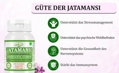 Morsan Nutraveda Jatamansi (Nardostachys Jatamansi) Kapseln | 10:1 hochkonzentrierter Extrakt | 100% natürliches Produkt | Packung mit 60 x 500 mg Vegi-Kapseln