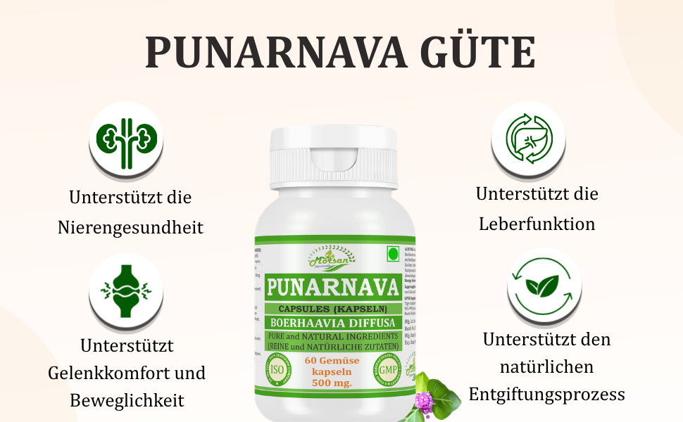 Morsan Nutraveda Punarnava (Boerhaavia Diffusa, Punernava) Kapseln | 10:1 hochkonzentrierter Extrakt | 100 % Naturprodukt | Packung mit 60 x 500 mg Veg.-Kapseln