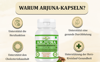 Morsan Nutraveda Arjuna (Terminalia Arjuna) Kapseln | 10:1 hochkonzentrierter Extrakt | 100 % Naturprodukt | Packung mit 60 x 500 mg Veg. Kapseln