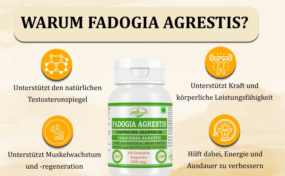 Morsan Nutraveda’s Fadogia Agrestis (Vangueria Agrestis) Capsule | 10:1 Highest Potency Extract | 100 % Natural Product | Pack of 60 x 500 mg. Veg. Capsules