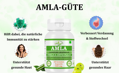morsan-nutraveda-aloe-vera-500mg-60-vegane-kapseln