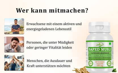 Morsan Nutraveda Safed Musli (Chlorophytum Arundinaceum) Kapseln | 10:1 Extrakt mit höchster Wirksamkeit | 100 % natürliches Produkt | Packung mit 60 x 500 mg Veg. Kapseln