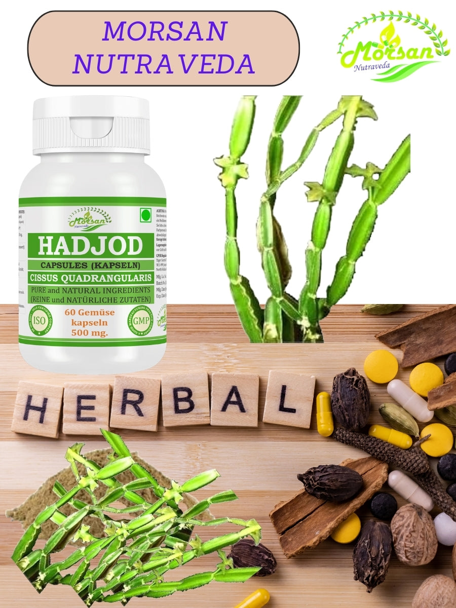 Morsan Nutraveda Hadjod Kapseln (Cissus quadrangularis) | 10:1 Extrakt | 500 mg | 60 vegetarische Kapseln | Pflanzliches Nahrungsergänzungsmittel