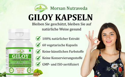 Morsan Nutraveda Giloy (Tinospora Cordifolia, Guduchi) Kapseln | 10:1 hochkonzentrierter Extrakt | 100 % Naturprodukt | Packung mit 60 x 500 mg Vegi-Kapseln