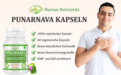 Morsan Nutraveda Punarnava (Boerhaavia Diffusa, Punernava) Kapseln | 10:1 hochkonzentrierter Extrakt | 100 % Naturprodukt | Packung mit 60 x 500 mg Veg.-Kapseln