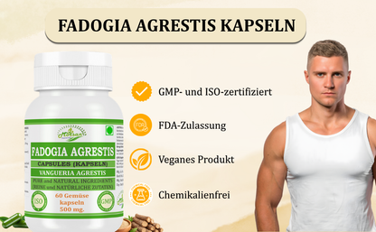 Morsan Nutraveda’s Fadogia Agrestis (Vangueria Agrestis) Capsule | 10:1 Highest Potency Extract | 100 % Natural Product | Pack of 60 x 500 mg. Veg. Capsules