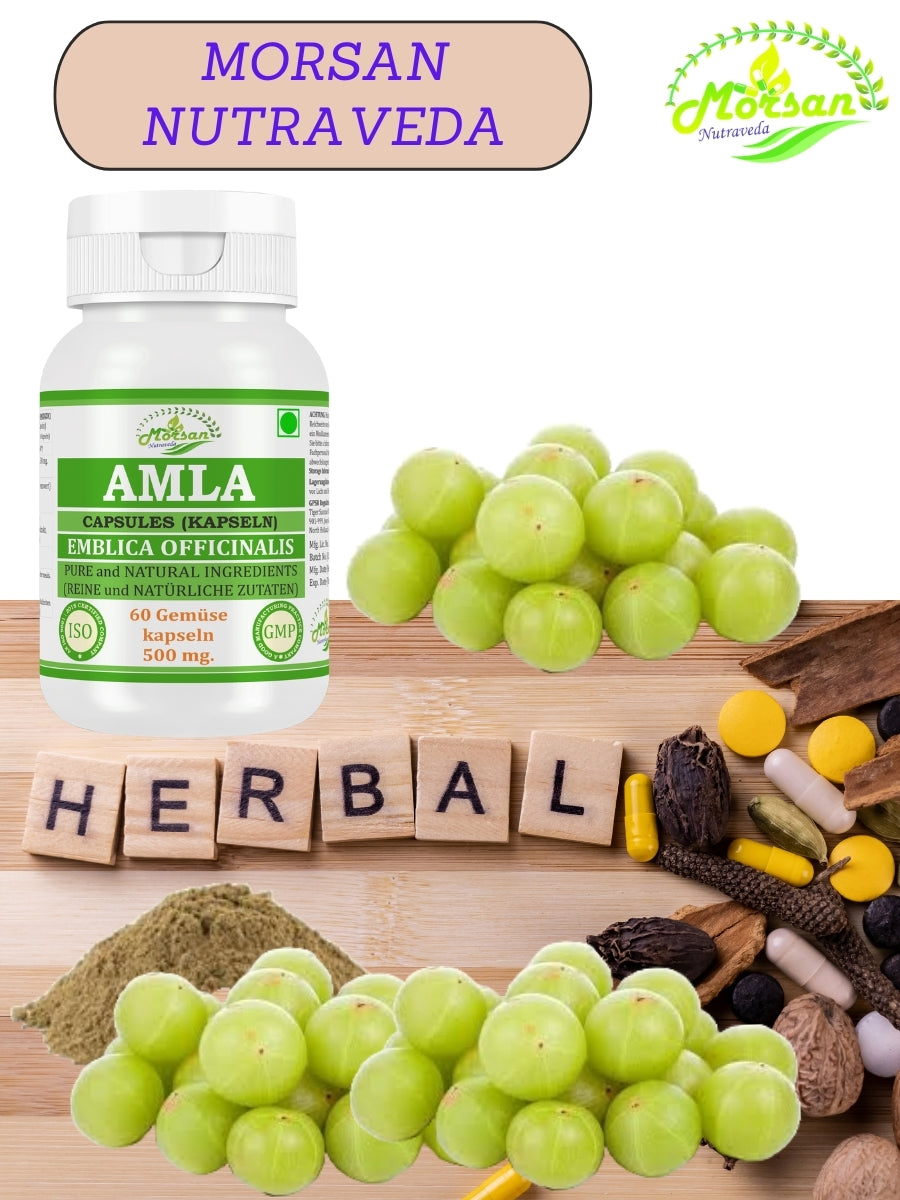 morsan-nutraveda-aloe-vera-500mg-60-vegane-kapseln