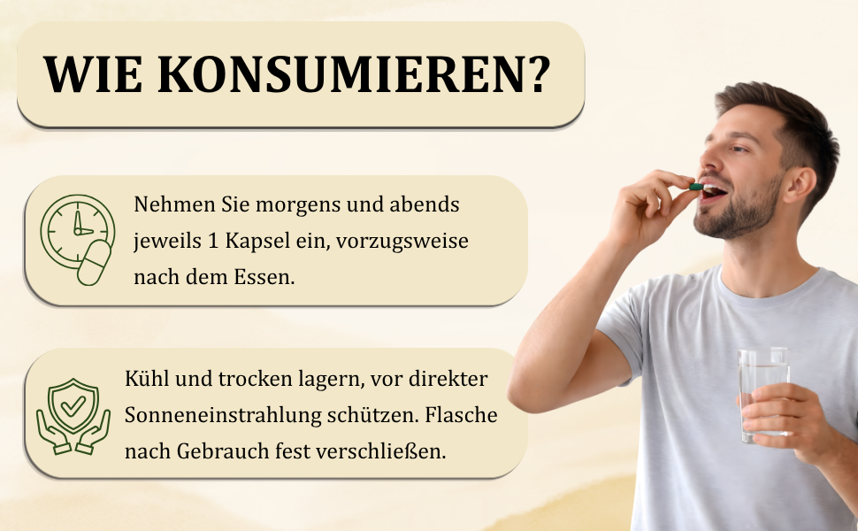 Morsan Nutraveda Arjuna (Terminalia Arjuna) Kapseln | 10:1 hochkonzentrierter Extrakt | 100 % Naturprodukt | Packung mit 60 x 500 mg Veg. Kapseln