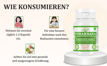 Morsan Nutraveda Punarnava (Boerhaavia Diffusa, Punernava) Kapseln | 10:1 hochkonzentrierter Extrakt | 100 % Naturprodukt | Packung mit 60 x 500 mg Veg.-Kapseln