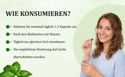# Traditionelle Kräuter-Wellness | 60 vegetarische Kapseln | GVO-frei | Glutenfrei