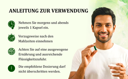 Morsan Nutraveda Giloy (Tinospora Cordifolia, Guduchi) Kapseln | 10:1 hochkonzentrierter Extrakt | 100 % Naturprodukt | Packung mit 60 x 500 mg Vegi-Kapseln