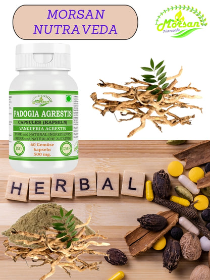 Morsan Nutraveda’s Fadogia Agrestis (Vangueria Agrestis) Capsule | 10:1 Highest Potency Extract | 100 % Natural Product | Pack of 60 x 500 mg. Veg. Capsules