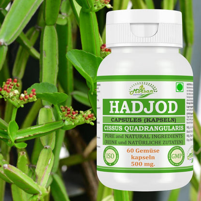 Morsan Nutraveda Hadjod Kapseln (Cissus quadrangularis) | 10:1 Extrakt | 500 mg | 60 vegetarische Kapseln | Pflanzliches Nahrungsergänzungsmittel