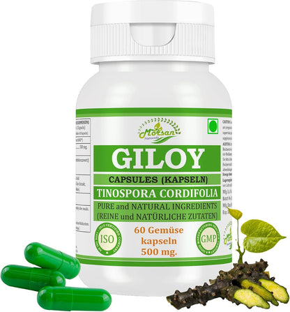 Morsan Nutraveda Giloy (Tinospora Cordifolia, Guduchi) Kapseln | 10:1 hochkonzentrierter Extrakt | 100 % Naturprodukt | Packung mit 60 x 500 mg Vegi-Kapseln