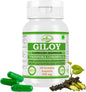 Morsan Nutraveda Giloy (Tinospora Cordifolia, Guduchi) Kapseln | 10:1 hochkonzentrierter Extrakt | 100 % Naturprodukt | Packung mit 60 x 500 mg Vegi-Kapseln