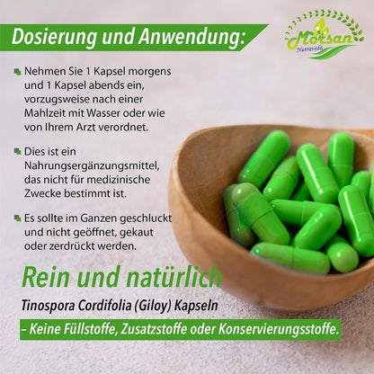 Morsan Nutraveda Giloy (Tinospora Cordifolia, Guduchi) Kapseln | 10:1 hochkonzentrierter Extrakt | 100 % Naturprodukt | Packung mit 60 x 500 mg Vegi-Kapseln
