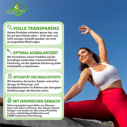 Morsan Nutraveda Safed Musli (Chlorophytum Arundinaceum) Kapseln | 10:1 Extrakt mit höchster Wirksamkeit | 100 % natürliches Produkt | Packung mit 60 x 500 mg Veg. Kapseln