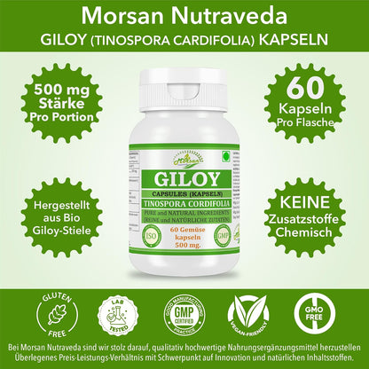 Morsan Nutraveda Giloy (Tinospora Cordifolia, Guduchi) Kapseln | 10:1 hochkonzentrierter Extrakt | 100 % Naturprodukt | Packung mit 60 x 500 mg Vegi-Kapseln