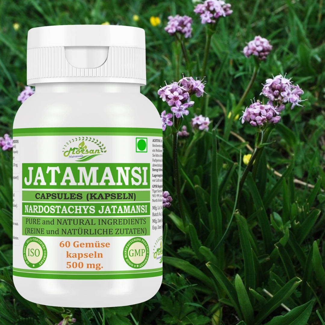 Morsan Nutraveda Jatamansi (Nardostachys Jatamansi) Kapseln | 10:1 hochkonzentrierter Extrakt | 100% natürliches Produkt | Packung mit 60 x 500 mg Vegi-Kapseln
