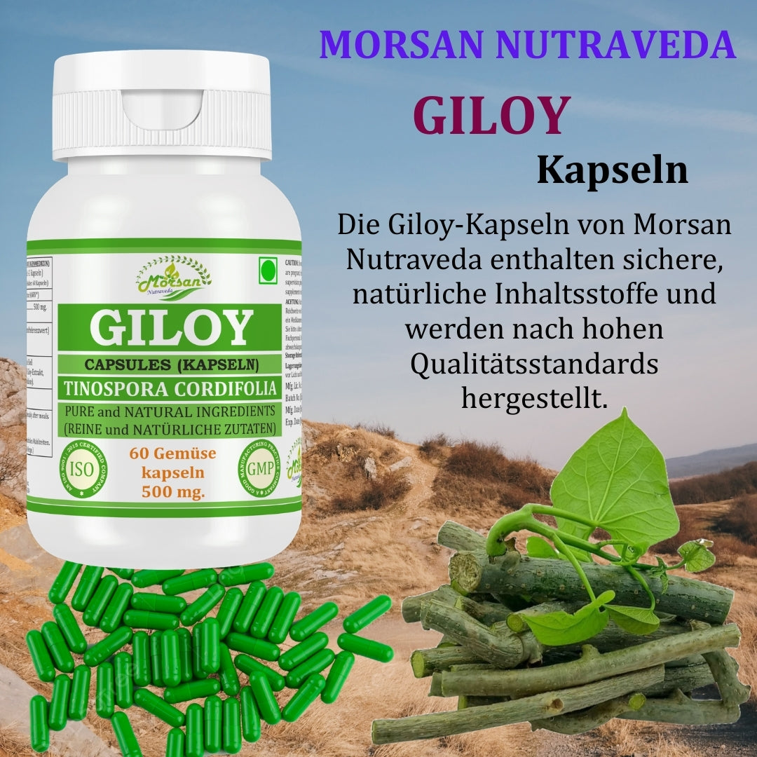 Morsan Nutraveda Giloy (Tinospora Cordifolia, Guduchi) Kapseln | 10:1 hochkonzentrierter Extrakt | 100 % Naturprodukt | Packung mit 60 x 500 mg Vegi-Kapseln