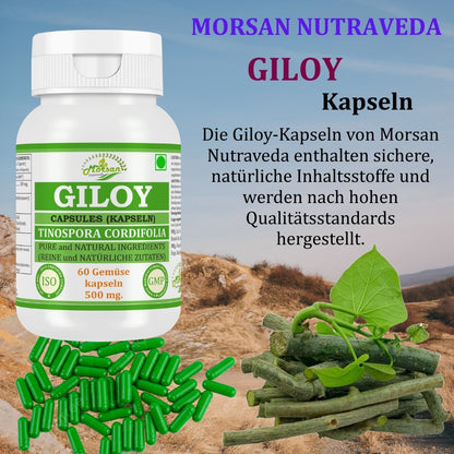 Morsan Nutraveda Giloy (Tinospora Cordifolia, Guduchi) Kapseln | 10:1 hochkonzentrierter Extrakt | 100 % Naturprodukt | Packung mit 60 x 500 mg Vegi-Kapseln