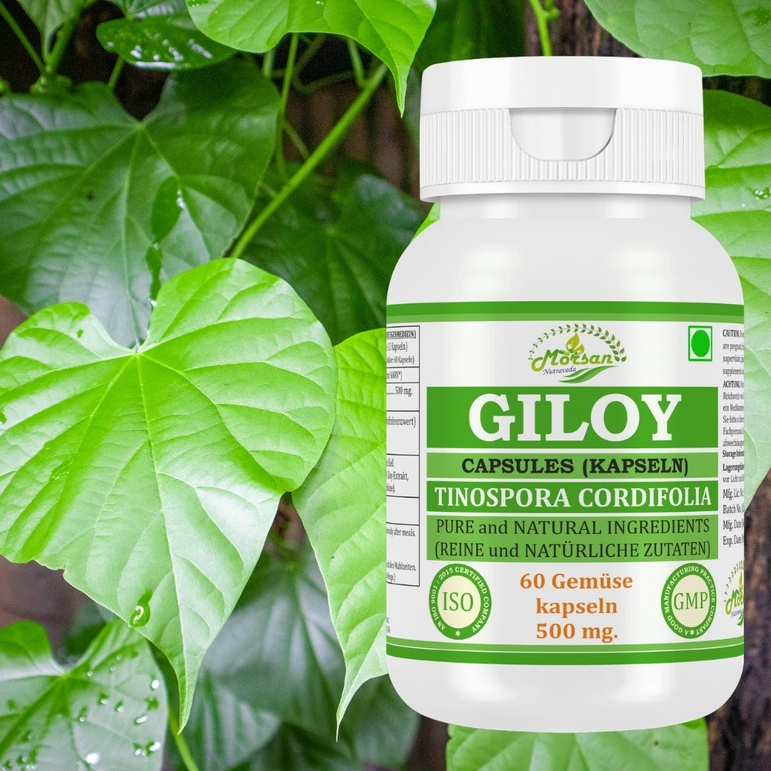 Morsan Nutraveda Giloy (Tinospora Cordifolia, Guduchi) Kapseln | 10:1 hochkonzentrierter Extrakt | 100 % Naturprodukt | Packung mit 60 x 500 mg Vegi-Kapseln