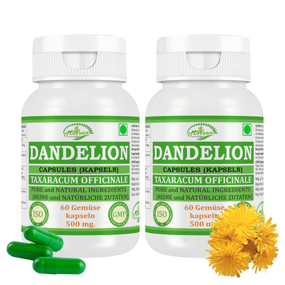 LÖWENZAHN-KAPSELN - TARAXACUM OFFICINALE - 60 Gemüsekapseln à 500 mg - REIN und NATÜRLICH