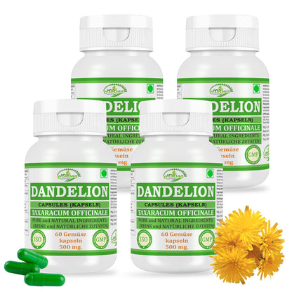 LÖWENZAHN-KAPSELN - TARAXACUM OFFICINALE - 60 Gemüsekapseln à 500 mg - REIN und NATÜRLICH