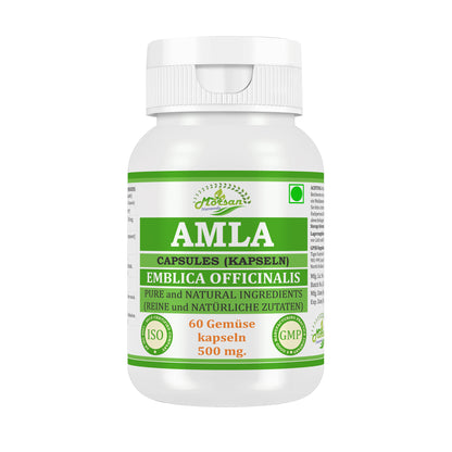 morsan-nutraveda-aloe-vera-500mg-60-vegane-kapseln