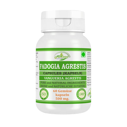 Morsan Nutraveda’s Fadogia Agrestis (Vangueria Agrestis) Capsule | 10:1 Highest Potency Extract | 100 % Natural Product | Pack of 60 x 500 mg. Veg. Capsules
