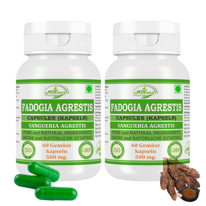 Morsan Nutraveda’s Fadogia Agrestis (Vangueria Agrestis) Capsule | 10:1 Highest Potency Extract | 100 % Natural Product | Pack of 60 x 500 mg. Veg. Capsules