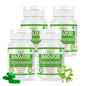 Morsan Nutraveda Hadjod Kapseln (Cissus quadrangularis) | 10:1 Extrakt | 500 mg | 60 vegetarische Kapseln | Pflanzliches Nahrungsergänzungsmittel