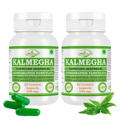 KALMEGHA-KAPSELN - ANDROGRAPHIS PANICULATA - 60 Gemüsekapseln à 500 mg - REIN und NATÜRLICH