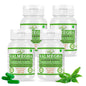 KALMEGHA-KAPSELN - ANDROGRAPHIS PANICULATA - 60 Gemüsekapseln à 500 mg - REIN und NATÜRLICH